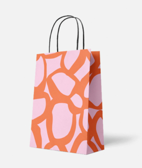 Πολύχρωμη σακούλα δώρου